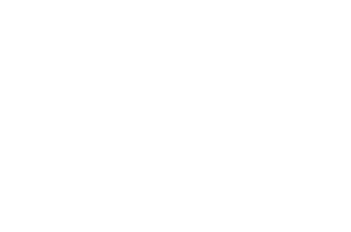 Logo do Sebrae